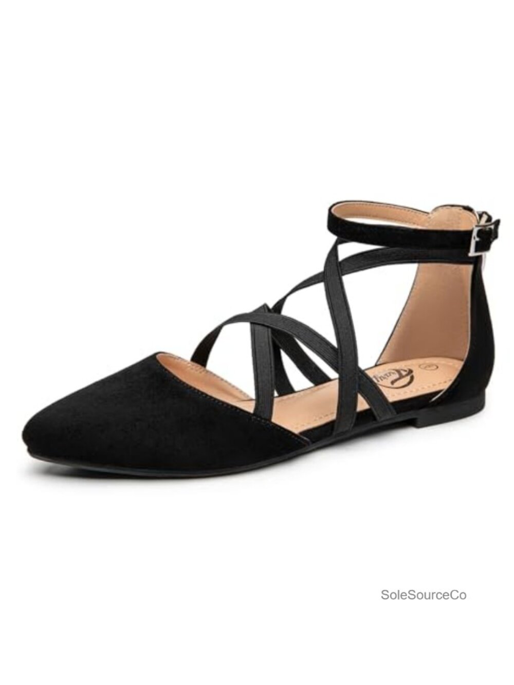 Women's Mary Jane Flats with Elastic Straps, Comfortable Pointed Toe Dress
